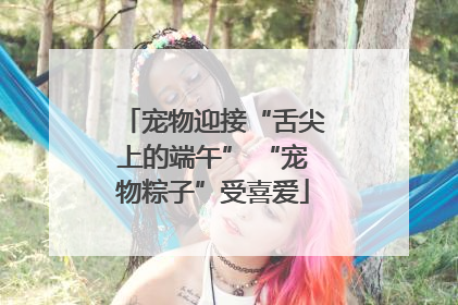 宠物迎接“舌尖上的端午” “宠物粽子”受喜爱