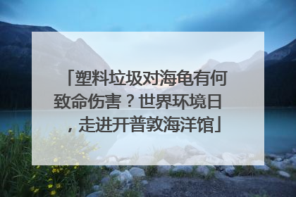 塑料垃圾对海龟有何致命伤害？世界环境日，走进开普敦海洋馆