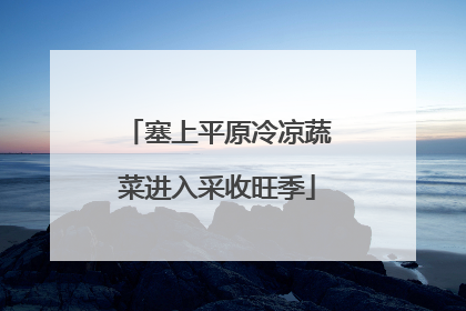 塞上平原冷凉蔬菜进入采收旺季