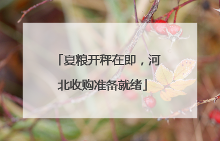 夏粮开秤在即，河北收购准备就绪