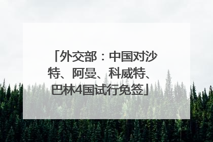 外交部：中国对沙特、阿曼、科威特、巴林4国试行免签