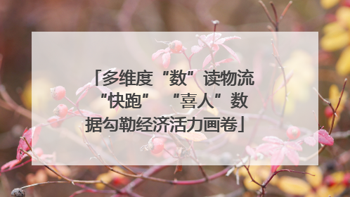 多维度“数”读物流“快跑” “喜人”数据勾勒经济活力画卷