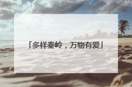 多样秦岭，万物有爱