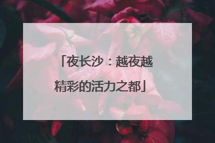 夜长沙：越夜越精彩的活力之都