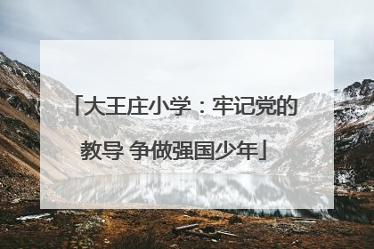 大王庄小学：牢记党的教导 争做强国少年