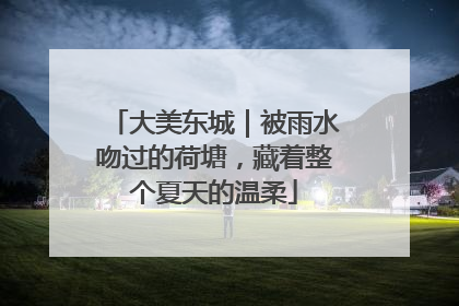 大美东城｜被雨水吻过的荷塘，藏着整个夏天的温柔