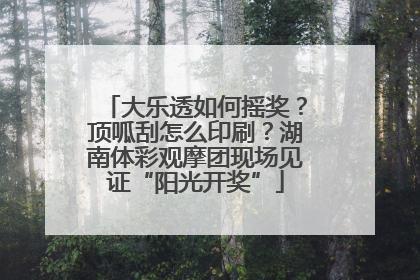 大乐透如何摇奖？顶呱刮怎么印刷？湖南体彩观摩团现场见证“阳光开奖”
