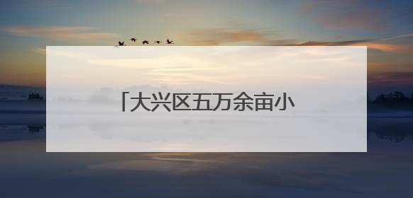 大兴区五万余亩小麦开始收获啦！