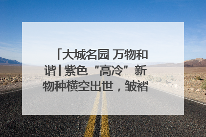 大城名园 万物和谐│紫色“高冷”新物种横空出世，皱褶叶片暗藏进化密码
