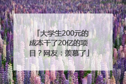 大学生200元的成本干了20亿的项目？网友：羡慕了