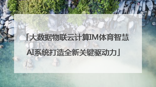 大数据物联云计算IM体育智慧AI系统打造全新关键驱动力