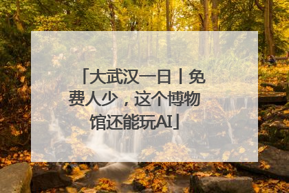大武汉一日丨免费人少，这个博物馆还能玩AI