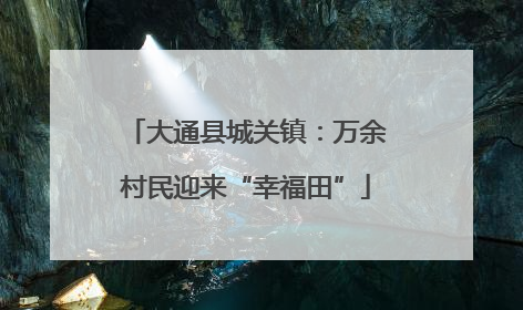 大通县城关镇：万余村民迎来“幸福田”