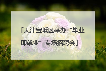天津宝坻区举办“毕业即就业”专场招聘会