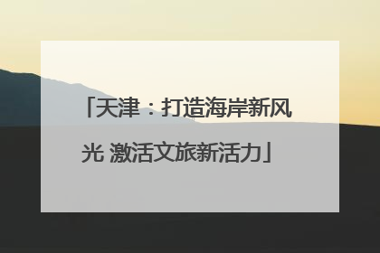 天津：打造海岸新风光 激活文旅新活力