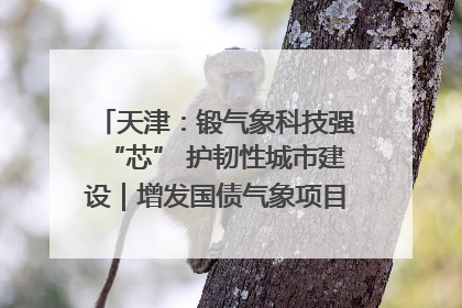 天津：锻气象科技强“芯” 护韧性城市建设｜增发国债气象项目落地见效系列报道