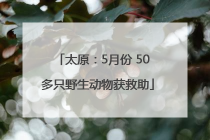 太原：5月份 50多只野生动物获救助