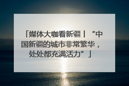 媒体大咖看新疆丨“中国新疆的城市非常繁华，处处都充满活力”