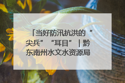 当好防汛抗洪的“尖兵”“耳目”｜黔东南州水文水资源局全员出动为此轮强降雨做好测报工作