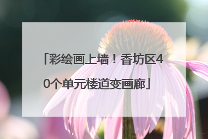 彩绘画上墙！香坊区40个单元楼道变画廊