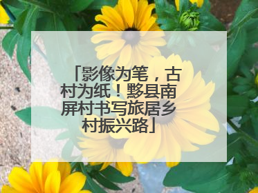 影像为笔，古村为纸！黟县南屏村书写旅居乡村振兴路