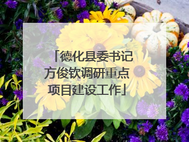 德化县委书记方俊钦调研重点项目建设工作