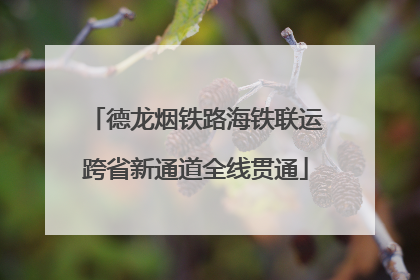 德龙烟铁路海铁联运跨省新通道全线贯通