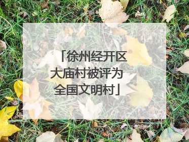 徐州经开区大庙村被评为全国文明村