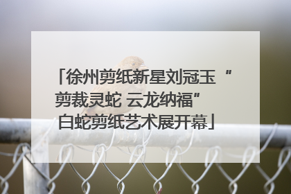 徐州剪纸新星刘冠玉“剪裁灵蛇 云龙纳福” 白蛇剪纸艺术展开幕