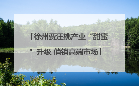 徐州贾汪桃产业“甜蜜”升级 俏销高端市场