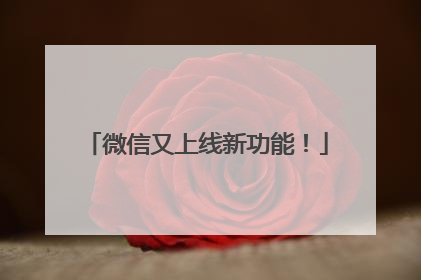微信又上线新功能！