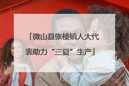 微山县张楼镇人大代表助力“三夏”生产