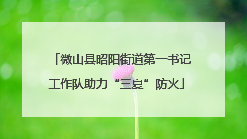微山县昭阳街道第一书记工作队助力“三夏”防火
