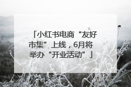 小红书电商“友好市集”上线，6月将举办“开业活动”