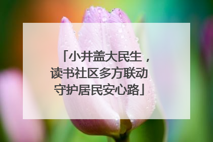 小井盖大民生，读书社区多方联动守护居民安心路