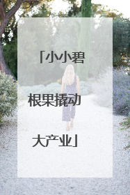 小小碧根果撬动大产业