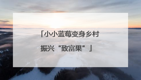 小小蓝莓变身乡村振兴“致富果”