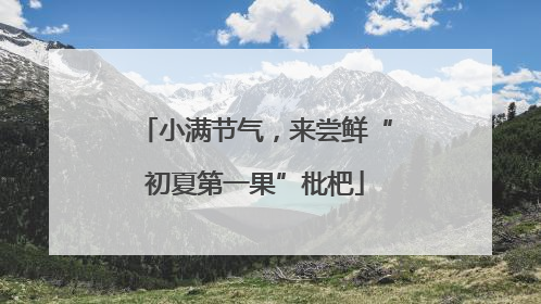 小满节气，来尝鲜“初夏第一果”枇杷