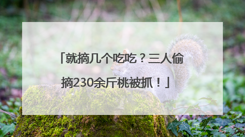 就摘几个吃吃？三人偷摘230余斤桃被抓！