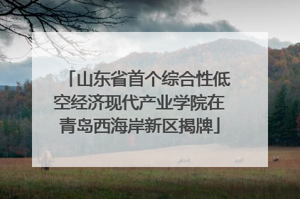 山东省首个综合性低空经济现代产业学院在青岛西海岸新区揭牌