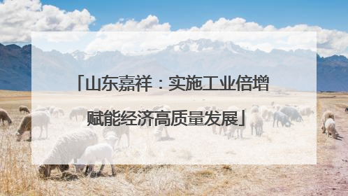 山东嘉祥：实施工业倍增 赋能经济高质量发展