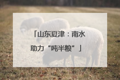 山东夏津：南水助力“吨半粮”