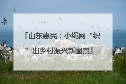 山东惠民：小绳网“织”出乡村振兴新图景