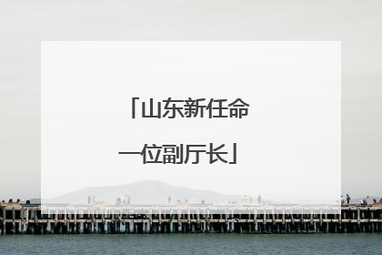 山东新任命一位副厅长