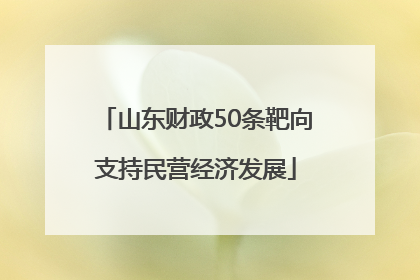 山东财政50条靶向支持民营经济发展