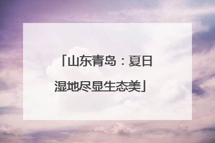 山东青岛：夏日湿地尽显生态美