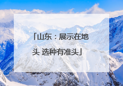 山东：展示在地头 选种有准头