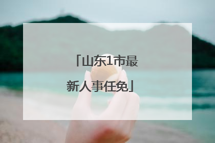 山东1市最新人事任免
