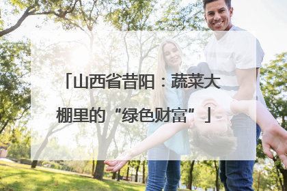 山西省昔阳：蔬菜大棚里的“绿色财富”