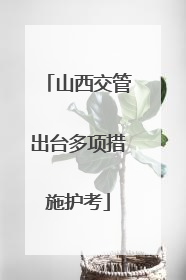 山西交管出台多项措施护考